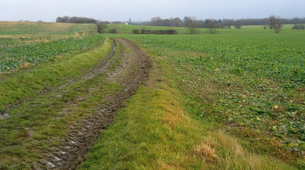 Whitwell Way, Coton, Cambs. view to the E from near the centre of the square.