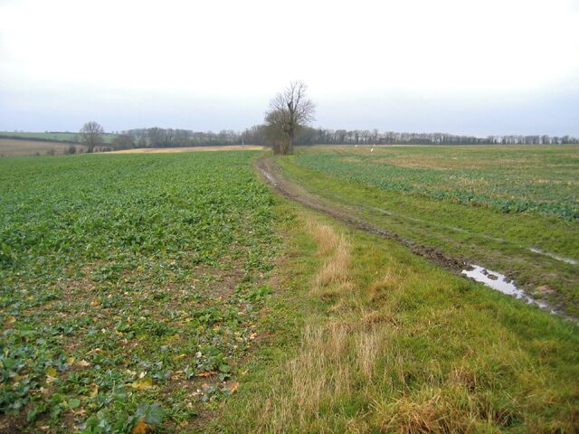Whitwell Way, Coton, Cambs.  view to the W from near the centre of the square.