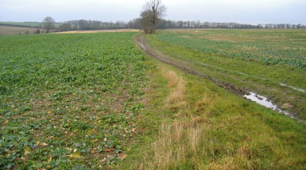 Whitwell Way, Coton, Cambs. view to the W from near the centre of the square.