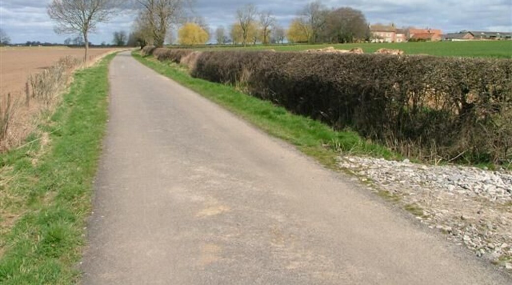 Pickeringmoor Lane With Maunby Demesne in the right distance.