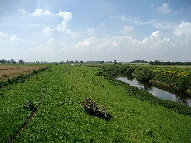 Levee beside River Swale Meandering river near Gatenby.