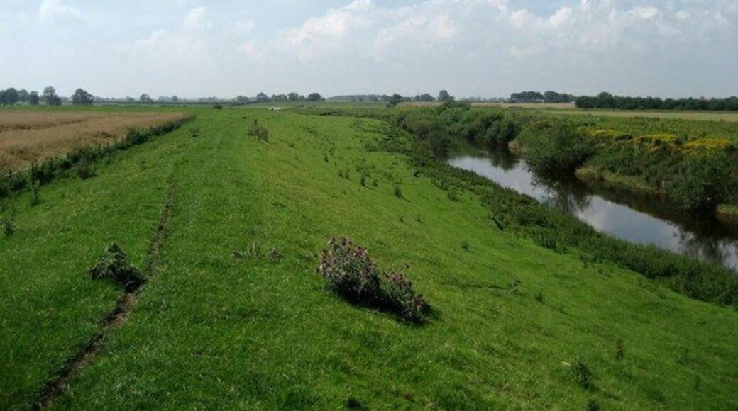 Levee beside River Swale Meandering river near Gatenby.