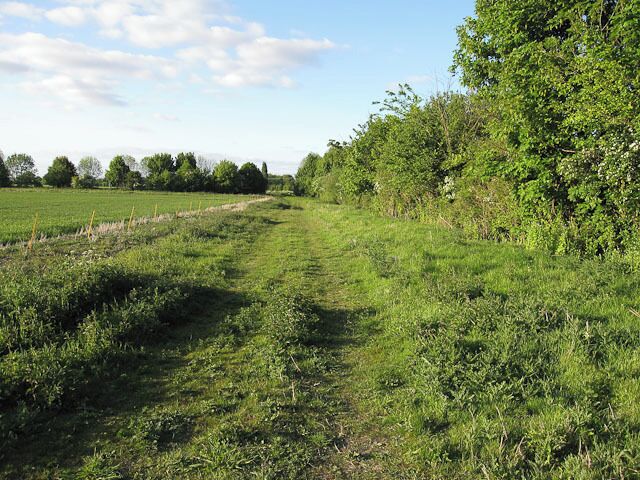 Footpath towards Shepreth Wide track and field margin.