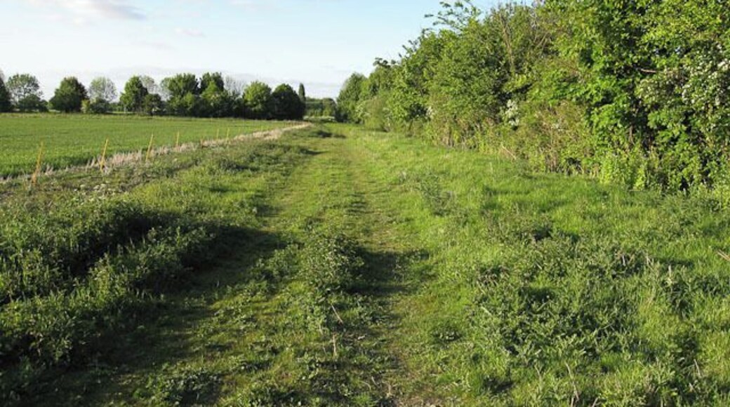 Footpath towards Shepreth Wide track and field margin.