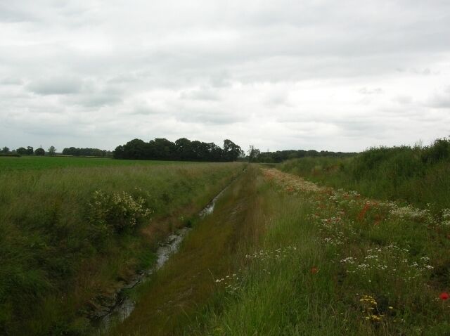 Wood Dike Taken from Sustrans route 65, York to Selby.