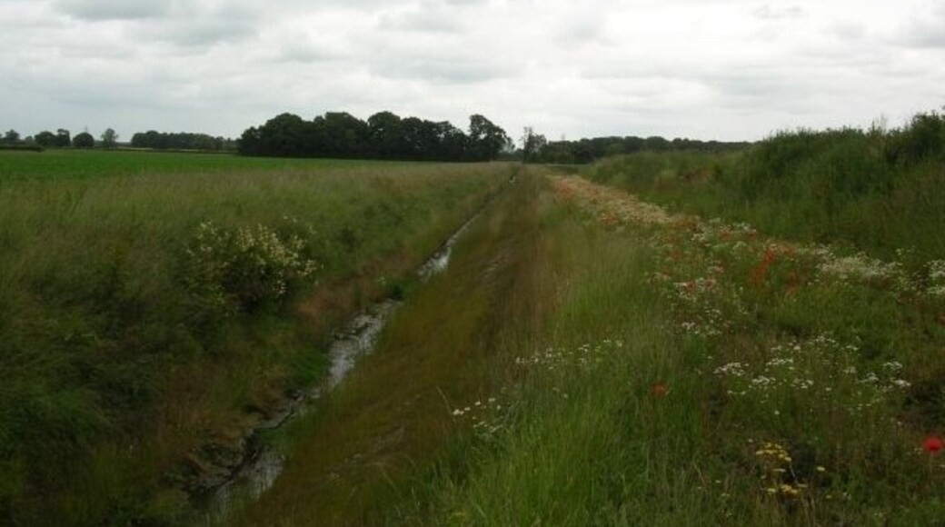 Wood Dike Taken from Sustrans route 65, York to Selby.