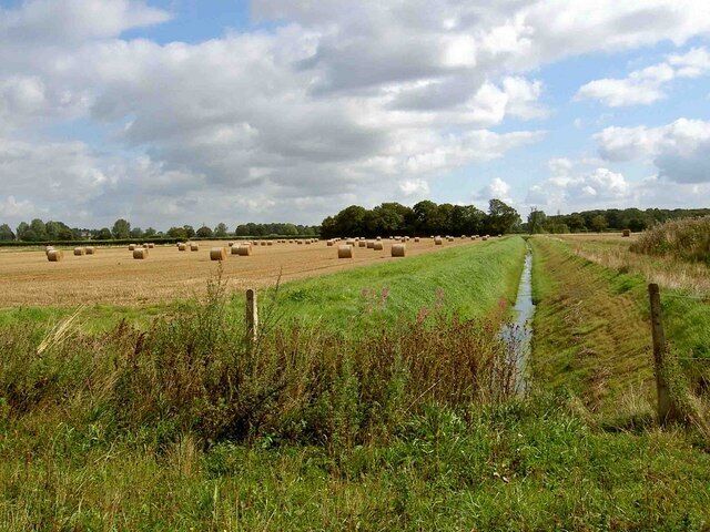 Dyke alongside the cycle track from Selby to York