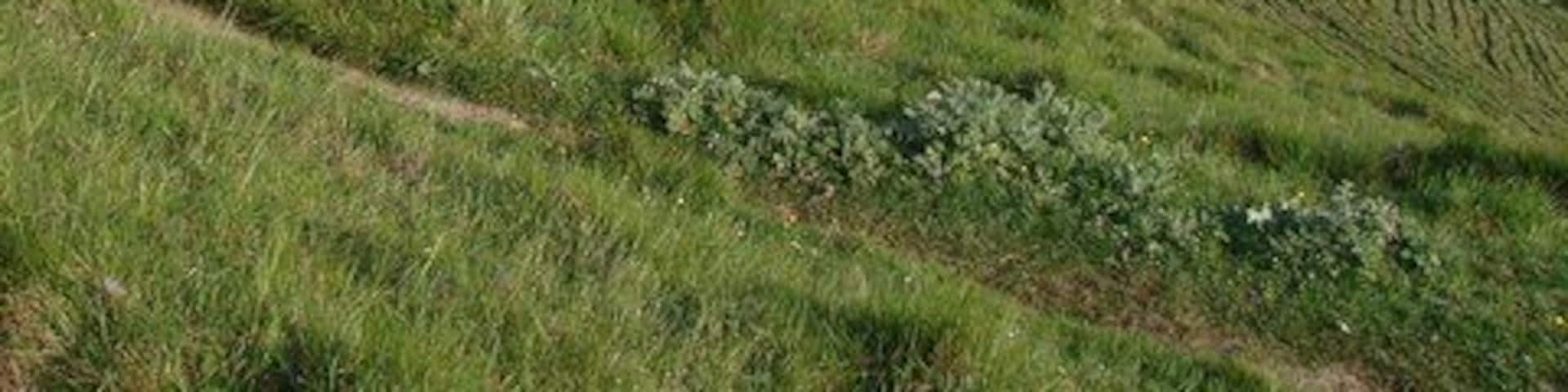 Folkestone To Etchinghill Escarpment Taken from Crete Road West, looking over the chalk escarpment, with Eurotunnel and Folkestone in the foreground. This area is designated SSSI and SPA, due to being one of the largest areas of unimproved chalk grassland in Kent.
