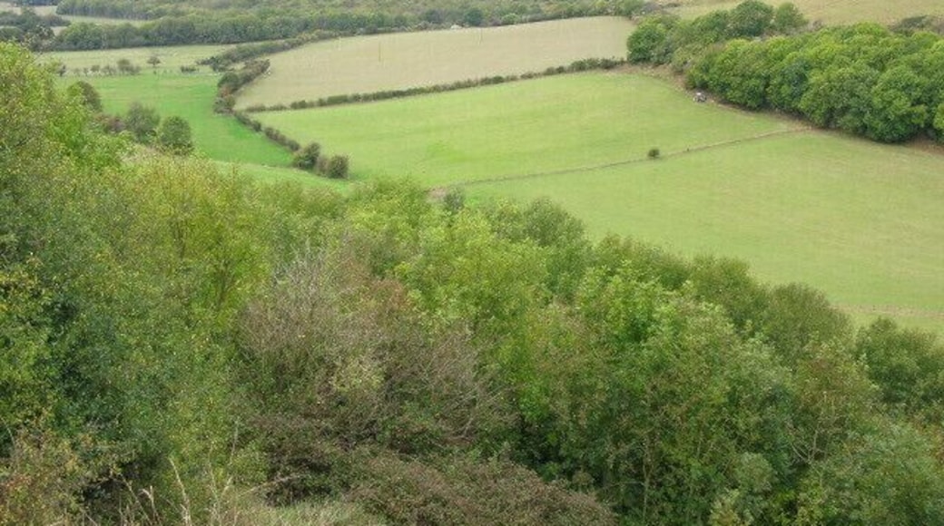 View from road above Peene
