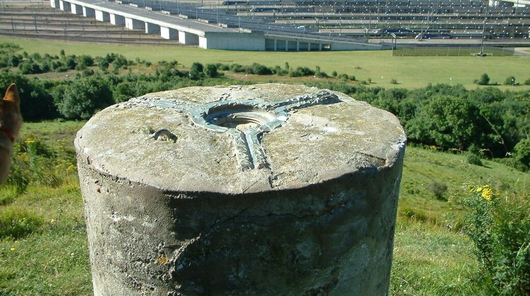 Trig point