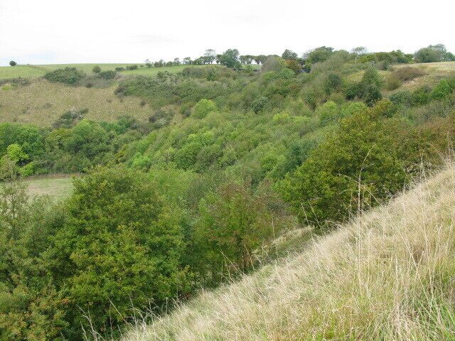 Wooded escarpment near Peene