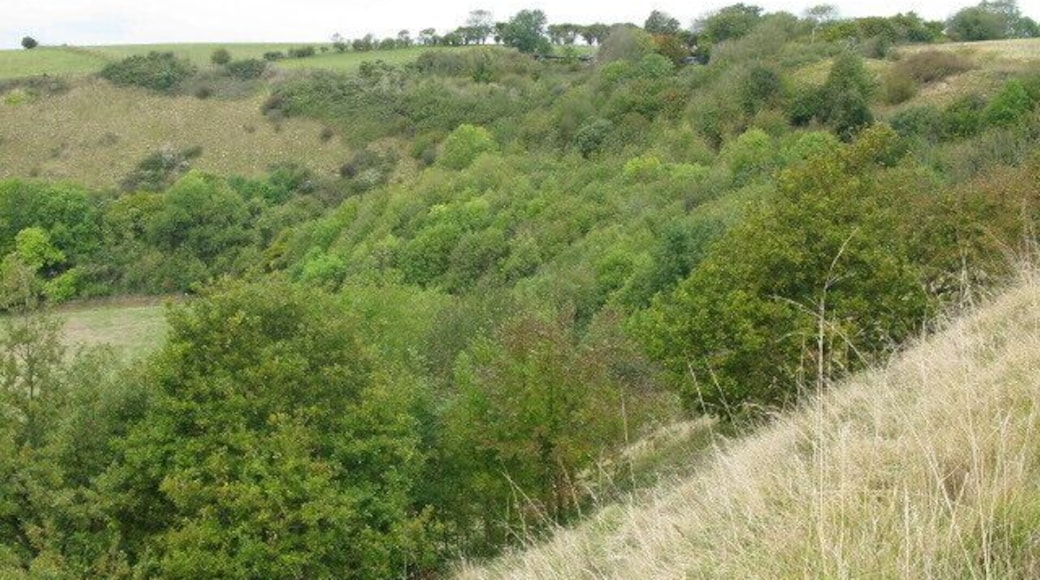 Wooded escarpment near Peene