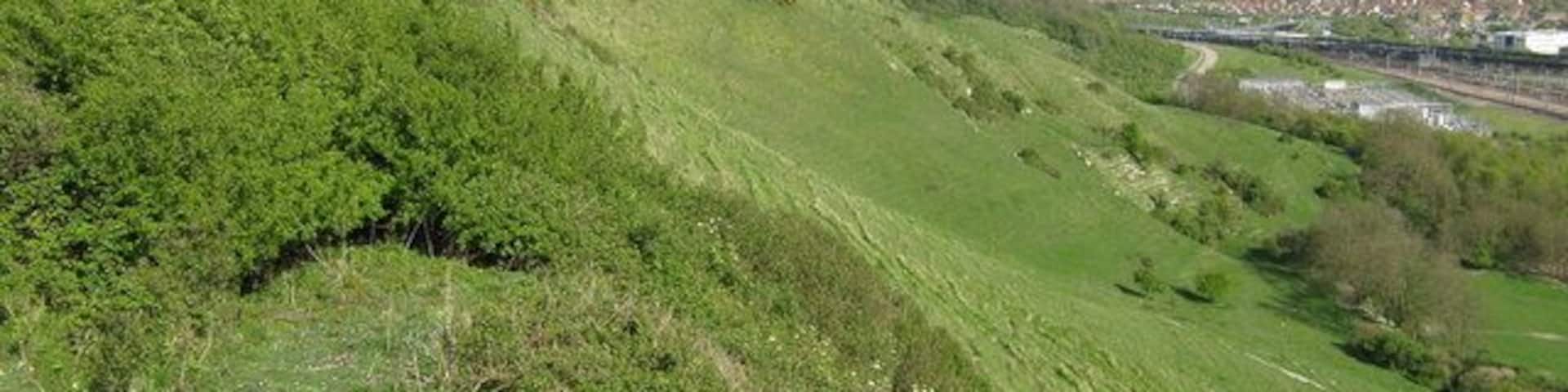 A grassy hillside with a view of a town in the distance.
