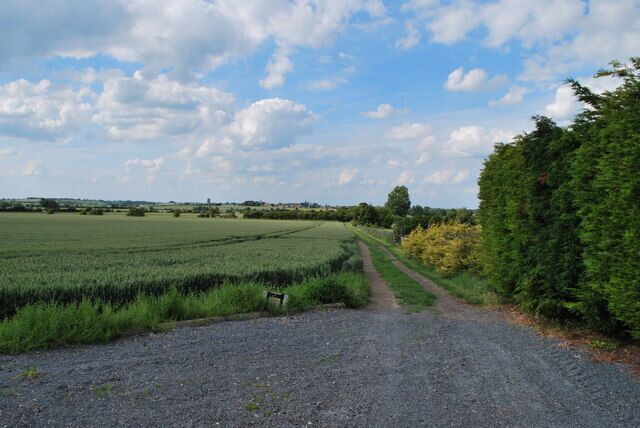 Track running North to the West of New Wrights Farm View North towards Bedfordshire