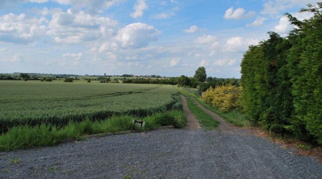 Track running North to the West of New Wrights Farm View North towards Bedfordshire