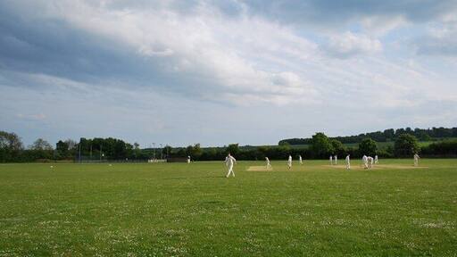 Cricket Practice in Pirton Village cricketers practising on a warm May evening.