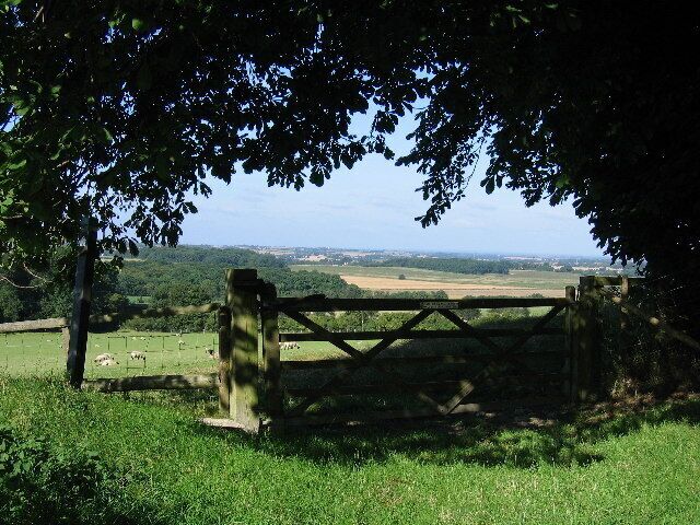 View from bottom of Tolsford hill looking West. A short ride on a summer's day.