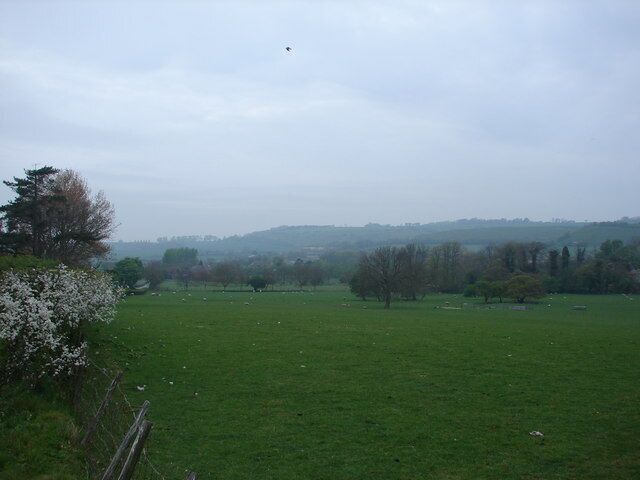 A green field with trees and a fence.