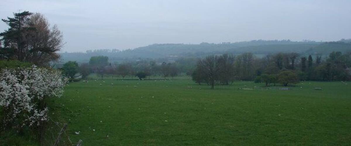 A green field with trees and a fence.