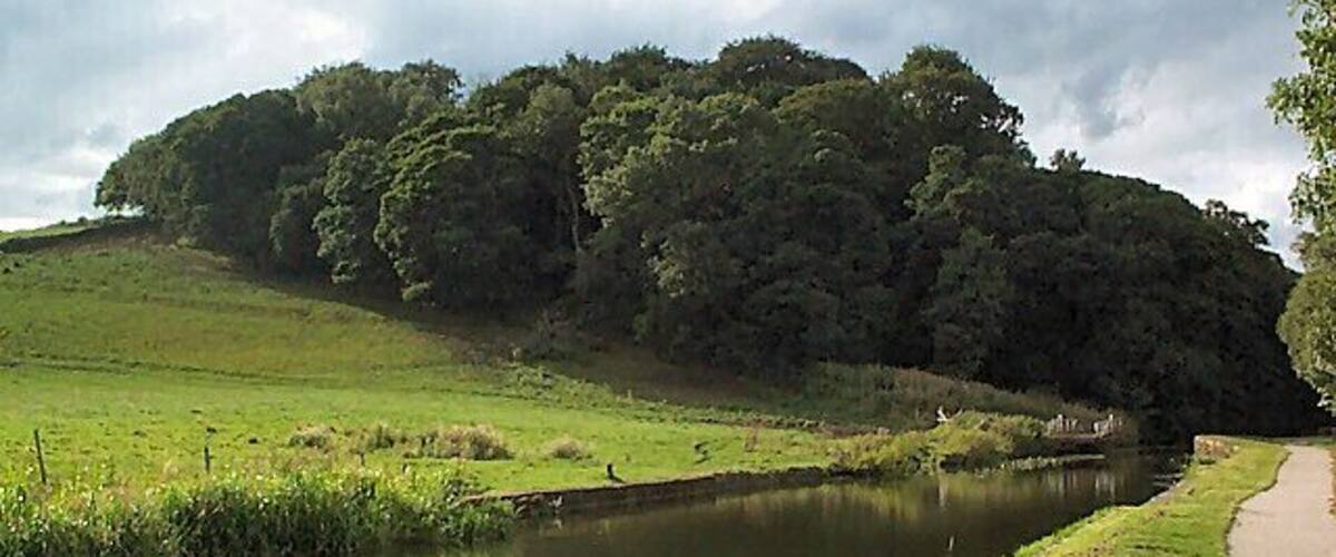 Lodge Wood near Calverley. The wood is on the southern side of the Leeds & Liverpool Canal. Also showing the disused (it don't mean a thing if it ain't got that swing) Lodge Bridge. Seen from SE2138937379.