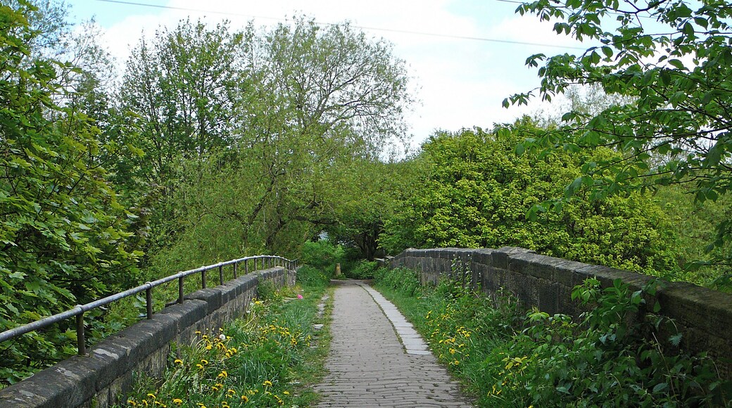 Calverley Packhorse Bridge