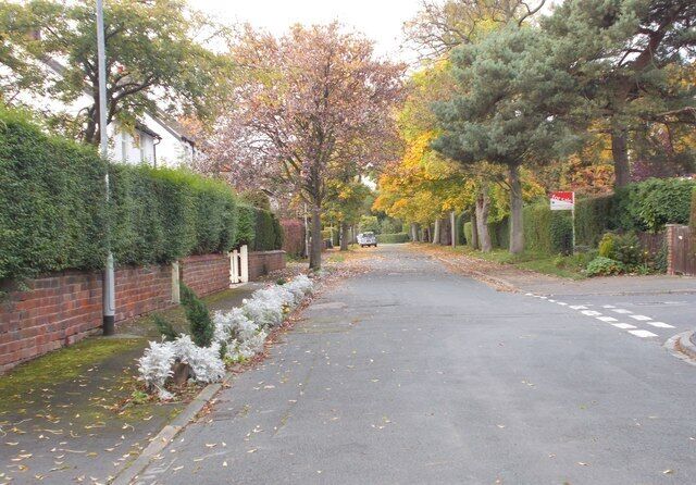 A quiet residential street with houses, a brick wall, and trees with autumn leaves.