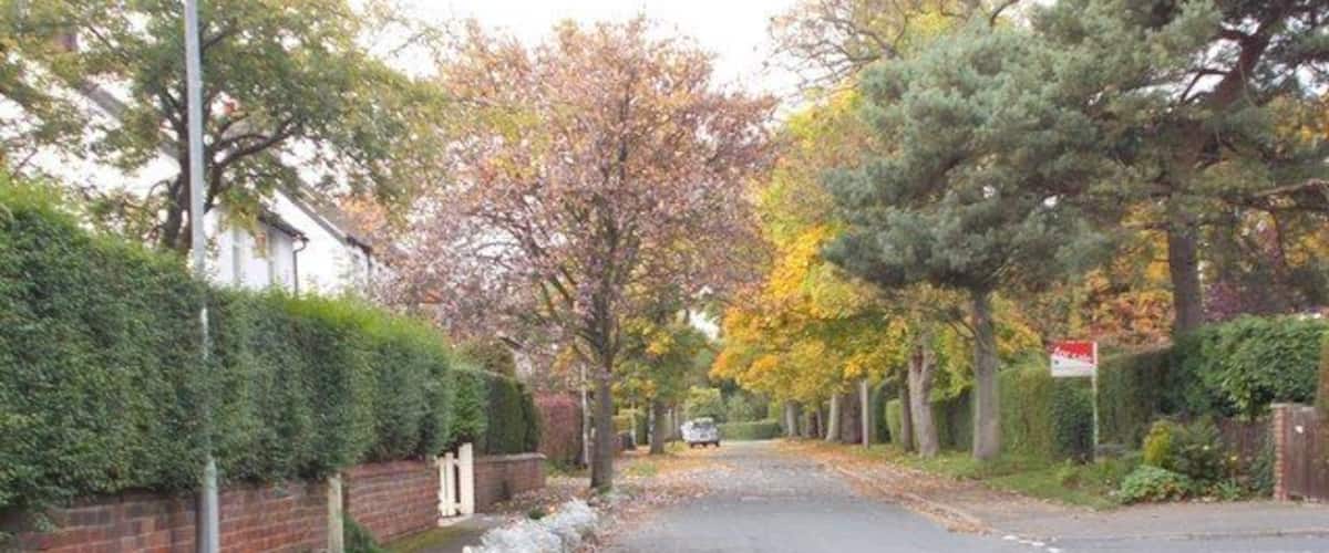 A quiet residential street with houses, a brick wall, and trees with autumn leaves.
