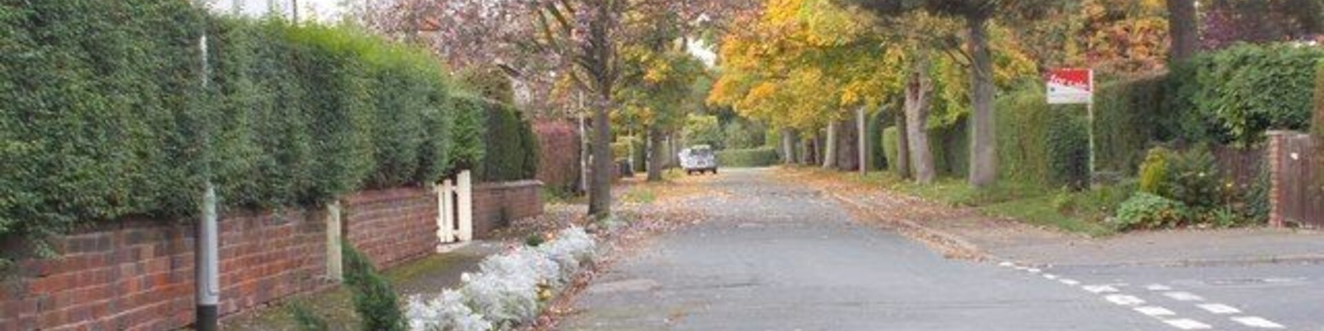 A quiet residential street with houses, a brick wall, and trees with autumn leaves.
