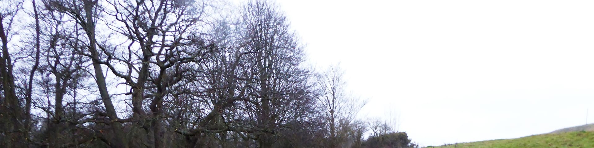 Seabrook Stream is a biological Site of Special Scientific Interest west of Folkestone in Kent.