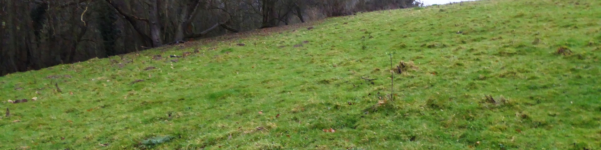 Seabrook Stream is a biological Site of Special Scientific Interest west of Folkestone in Kent.