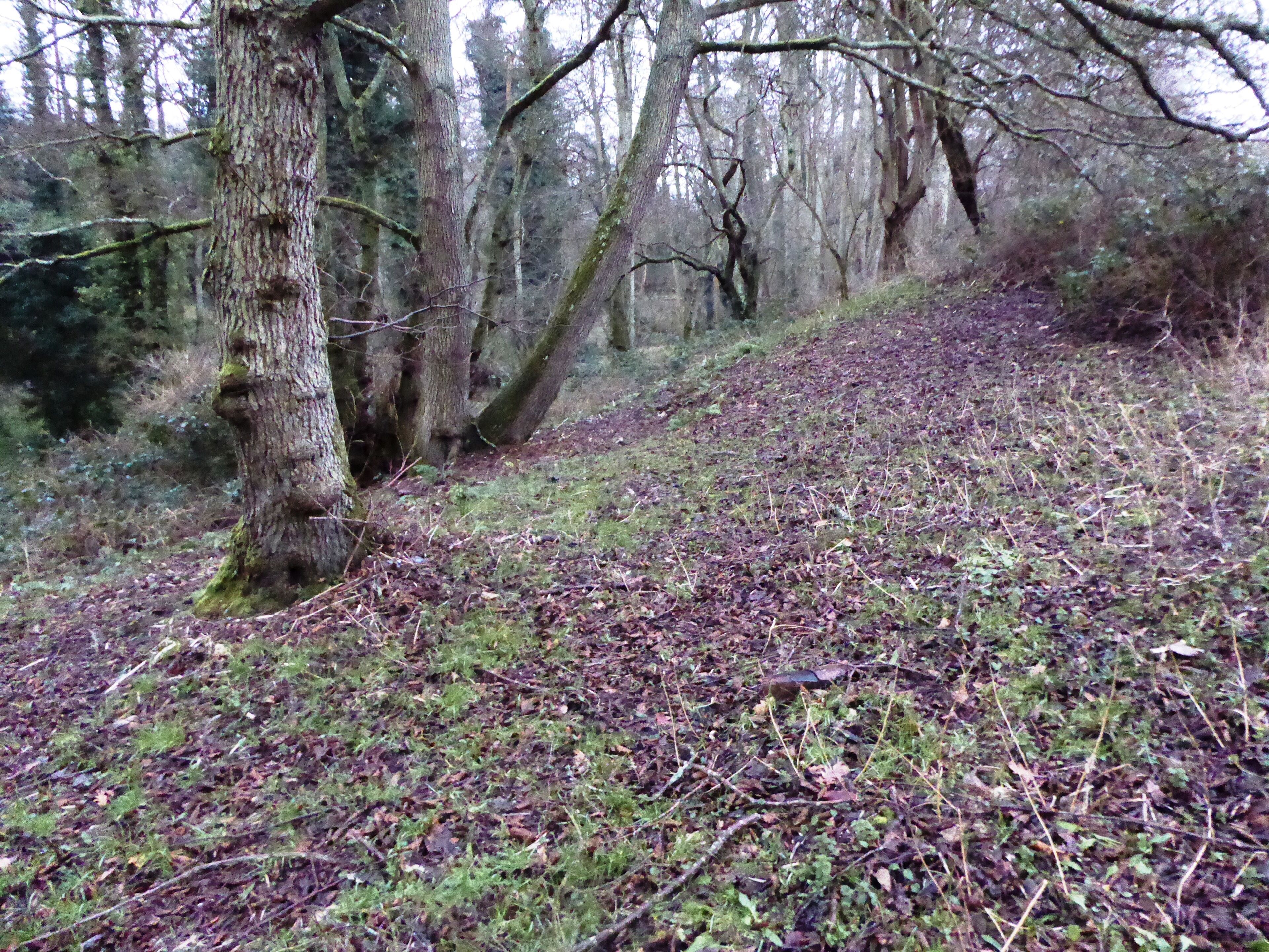 Seabrook Stream is a biological Site of Special Scientific Interest west of Folkestone in Kent.