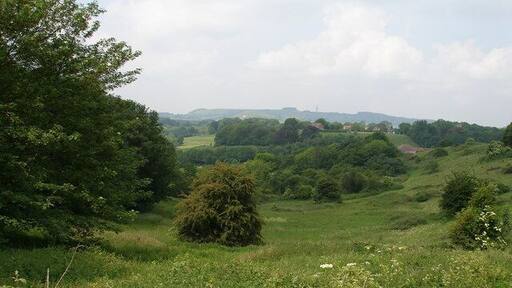 Down the valley towards a Kent designated woodland habitat