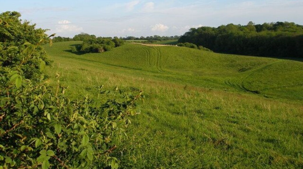 Looking across the North Downs Area of Outstanding Natural Beauty Towards the ancient woodland of Longcraft Wood to the right.