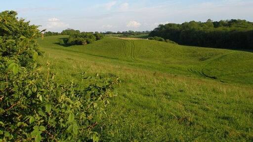 Looking across the North Downs Area of Outstanding Natural Beauty Towards the ancient woodland of Longcraft Wood to the right.