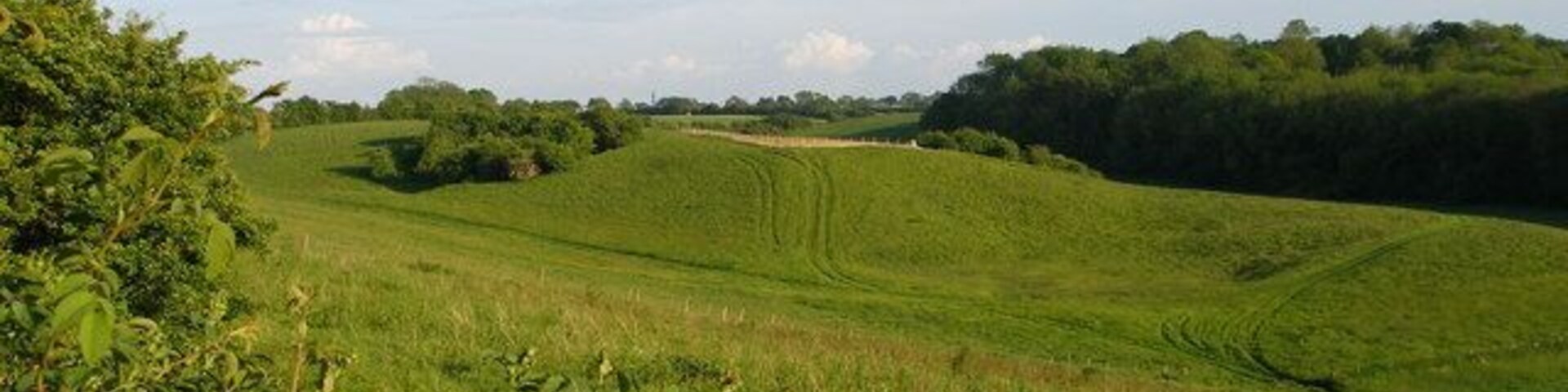 Looking across the North Downs Area of Outstanding Natural Beauty Towards the ancient woodland of Longcraft Wood to the right.