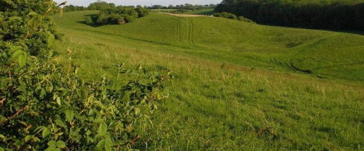 A green field with rolling hills and a clear sky.