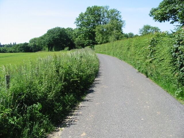 View WNW along Reece Lane