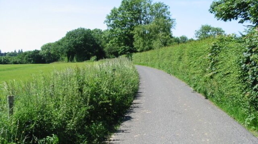 View WNW along Reece Lane