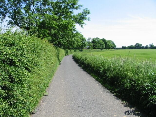 View along Reece Lane