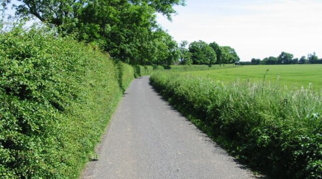 View along Reece Lane
