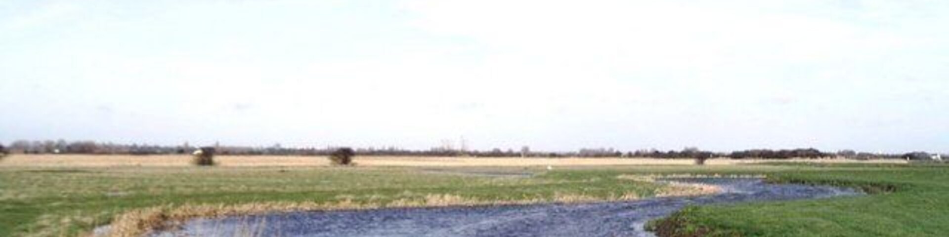 A river meandering through a grassy field with a clear sky.