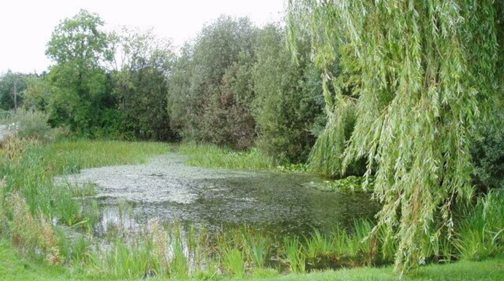 Sicklinghall village pond.