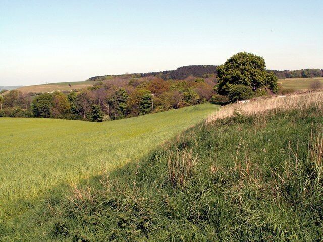 The Backside of Fall Head Farm Looking to a unnamed wood.