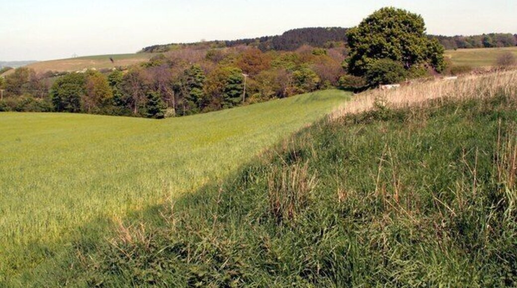 The Backside of Fall Head Farm Looking to a unnamed wood.