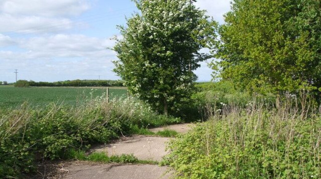 Track to Spaldington Water Tower
