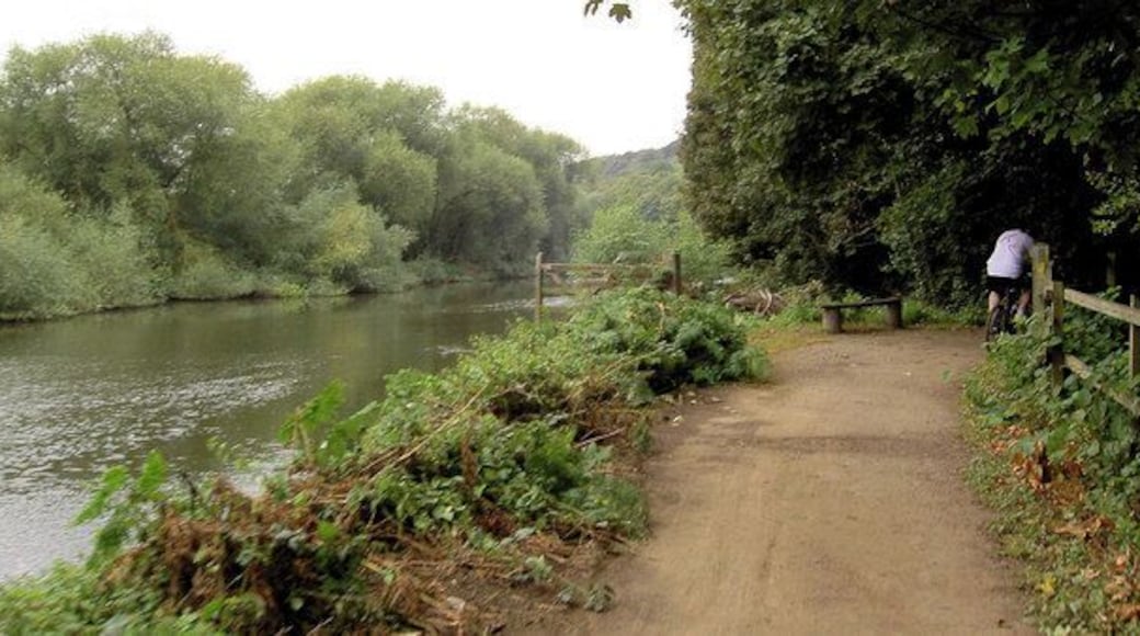 The Trans Pennine Trail along the River Don On the Billington Structures charity bike ride.