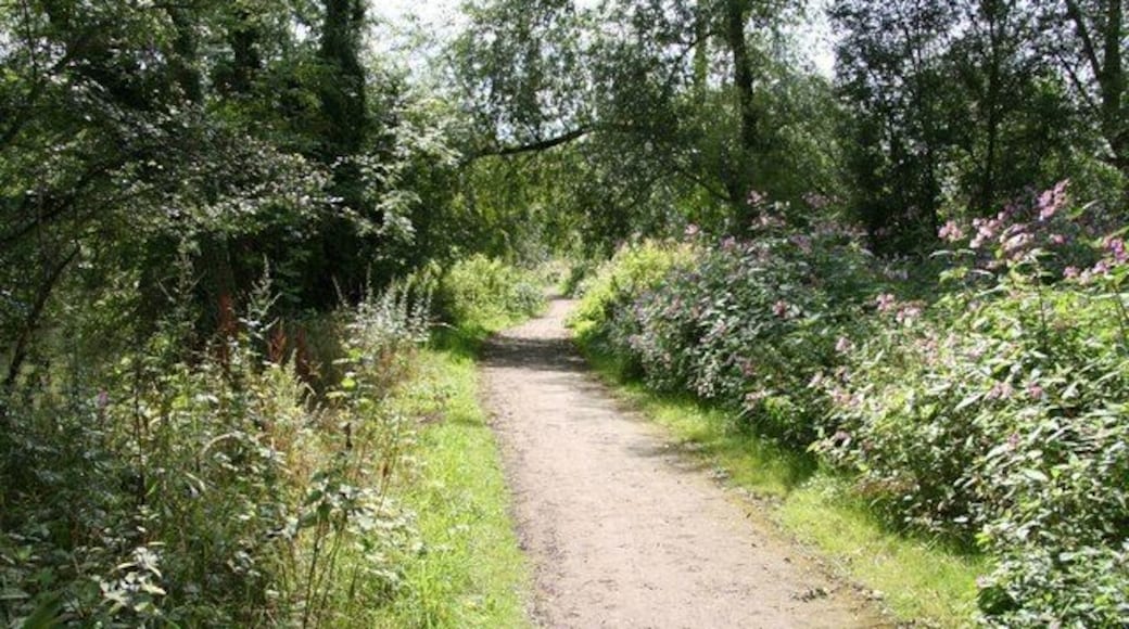 Trans Pennine Trail Long distance shared use path near Rainbow Bridge