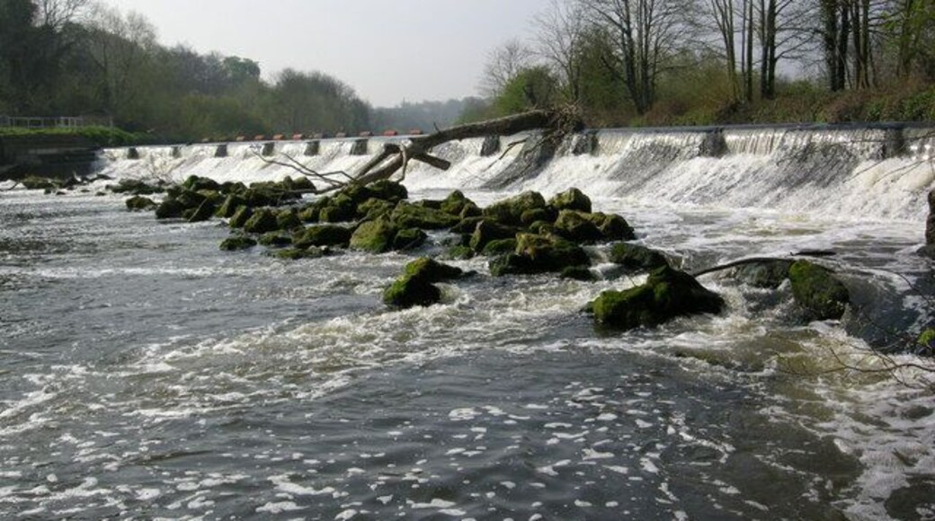 Weir - River Don at Sprotborough Here the canalised river and canal become separate for a short distance.