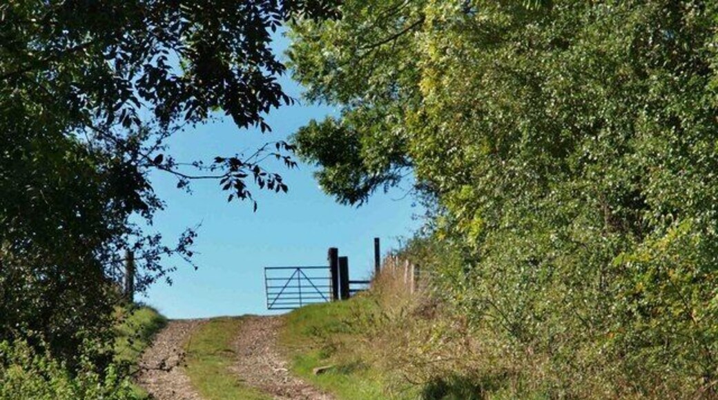 Pushing on an open gate Open gate on the footpath from Rockley.