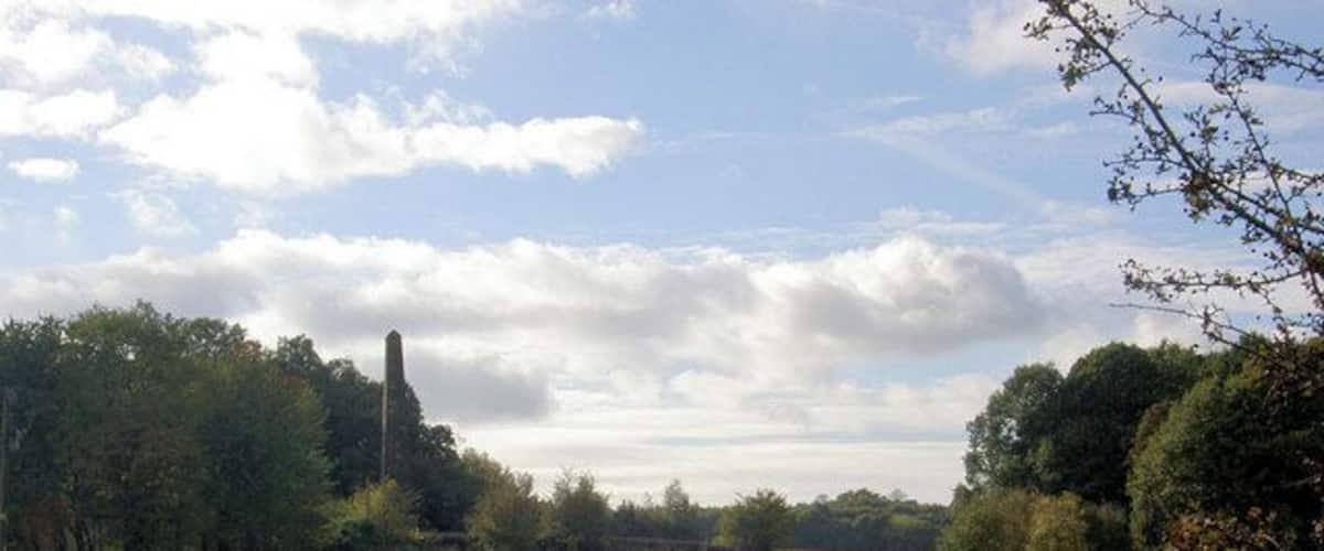 A green field with trees and a tall structure in the distance.